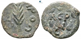 Judaea. Jerusalem. Procurators. Porcius Festus AD 59-62. Prutah AE