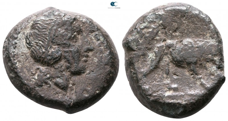 Anonymous 275-270 BC. Rome
Double Litra AE

20mm., 9,06g.



nearly very ...