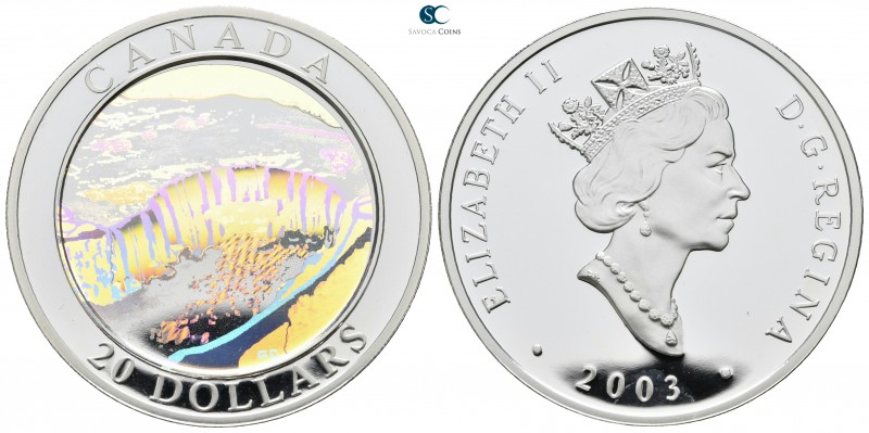 Canada. AD 2003.
20 Dollars AR

38mm., 31,39g.

proof