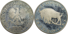 Europäische Münzen und Medaillen, Polen / Poland. Serie Umweltschutz - Wisent (Bison). 100 Zlotych 1977. 16,50 g. 0.625 Silber. 0.33 OZ. KM 87. Polier...