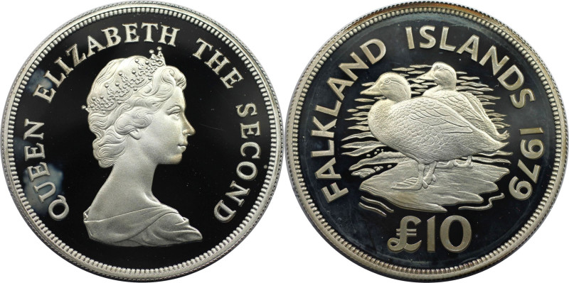 Weltmünzen und Medaillen, Falklandinseln / Falkland islands. Dampfschiffenten. 1...