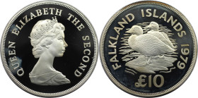 Weltmünzen und Medaillen, Falklandinseln / Falkland islands. Dampfschiffenten. 10 Pounds 1979. 35,0 g. 0.925 Silber. 1.04 OZ. KM 12. Polierte Platte
