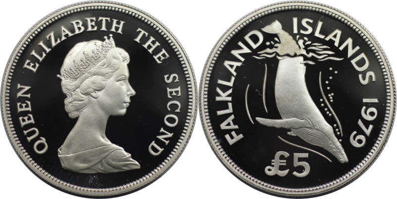 Weltmünzen und Medaillen, Falklandinseln / Falkland islands. Buckelwal. 5 Pounds...