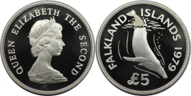 Weltmünzen und Medaillen, Falklandinseln / Falkland islands. Buckelwal. 5 Pounds 1979. 28,28 g. 0.925 Silber. 0.84 OZ. KM 11. Polierte Platte