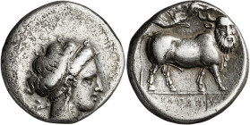 (320-300 a.C.). Italia. Neapolis. Didracma. (S. 308 var) (CNG. I, 451). Anverso algo descentrado. 7,08 g. MBC-.