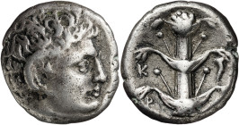 (308-277 a.C.). Cirenaica. Cirene. Didracma. (S. 6319 var) (BMC. XXIX, nº 232). Acuñada en tiempos de Magas. 7,50 g. MBC.