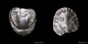 Selinos. Sicily (450-440BC) Cast AE Onkia
