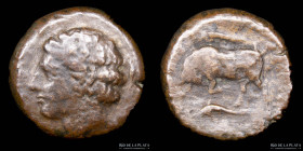 Syracuse. Sicily. Agathocles (317-305BC) AE Litra