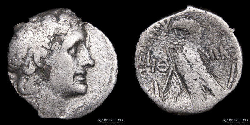 Ptolemaic Kingdom. Ptolemy X Alexander (107-88 BC) Tetradrachm. Alexandria. Paph...