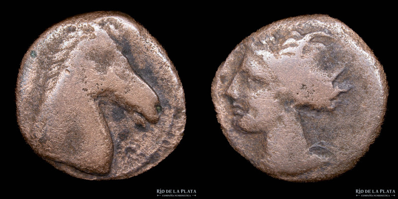 Carthage. North Africa. Unit, Sardinia mint (300-264BC). Bronze; 19mm; 4.54g. A:...