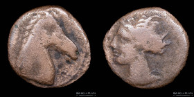 Carthage. North Africa (300-264BC) AE Unit