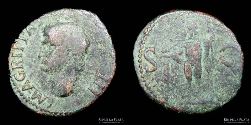 Agrippa under Gaius (Caligula) 37-41AD, As. Rome mint (Struck 37-41AD) Bronze; 3...