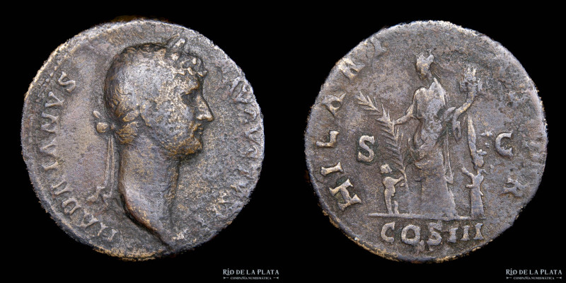 Hadrian (117-138AD) Sestertius. Rome mint. Bronze; 31mm; 22.25g. A: HADRIANVS AV...
