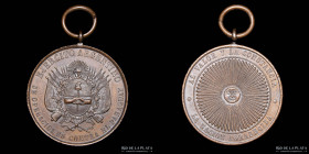 Guerra Triple Alianza. Argentina. Premio Militar 1870