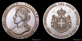 Argentina. Medicina. 1901. Ospedale Italiano. Buenos Aires