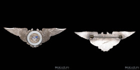 Argentina. Brevet plateado Aerolineas Argentinas