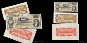 Buenos Aires. Banco Nacional. Specimen 3 Pesos Fuertes 1873. Bauman Plate