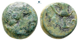 Thrace. Alopeconnesus circa 400-300 BC. Bronze Æ