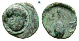 Thrace. Krithote circa 350-309 BC. Bronze Æ