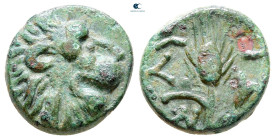 The Thracian Chersonese. Chersonesos circa 309-220 BC. Bronze Æ