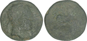 Celtiberian Coins
As. 120-20 a.C. LAIESCEN (BARCELONA). Anv.: Cabeza laureada a derecha. Rev.: Jinete con palma a derecha, debajo leyenda ibérica. 19...