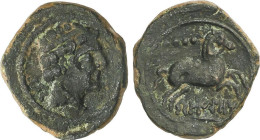 Celtiberian Coins
Cuadrante. 120-20 a.C. BELIGIOM (BELCHITE, Zaragoza). Anv.: Cabeza masculina a derecha, detrás letra ibérica Be. Rev.: Caballo a de...