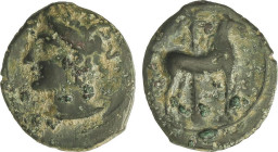 Celtiberian Coins
1/2 Calco. 310-280 a.C. CARTAGONOVA (CARTAGENA, Murcia). Anv.: Cabeza de Tanit a izquierda. Rev.: Caballo parado a derecha, detrás ...