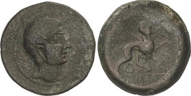Celtiberian Coins
As. 180 a.C. CASTULO (CAZLONA, Jaén). Anv.: Cabeza diademada a derecha. Rev.: Esfinge a derecha con estrella y letra ibérica Co del...