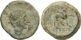 Celtiberian Coins
As. 180 a.C. CASTULO (CAZLONA, Jaén). Anv.: Cabeza masculina diademada a derecha, delante mano. Rev.: Esfinge a derecha, delante es...