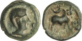 Celtiberian Coins
Semis. 180 a.C. CASTULO. (CAZLONA, Jaén). Anv.: Cabeza masculina diademada a derecha, delante S. Rev.: Toro a derecha, encima creci...