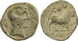 Celtiberian Coins
Semis. 180 a.C. CASTULO. (CAZLONA, Jaén). Anv.: Cabeza masculina diademada. Ley: CN. FVL. CN. Rev.: Toro a derecha, encima crecient...