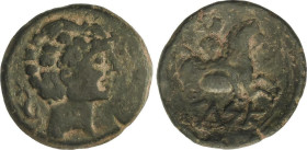 Celtiberian Coins
As. 120-50 a.C. CELSE (VELILLA DE EBRO, Zaragoza). Anv.: Cabeza masculina a derecha, detrás delfín. Rev.: Jinete con lanza a derech...