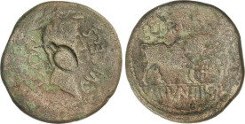 Celtiberian Coins
As. 27 a.C.-14 d.C. ÉPOCA DE AUGUSTO. CELSE (VELILLA DE EBRO, Zaragoza). Anv.: AVGVST.- C. V. I. CELSA. Cabeza de Augusto a derecha...