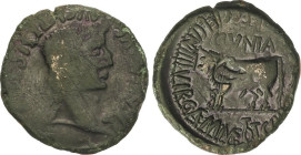 Celtiberian Coins
As. 14-37 d.C. ÉPOCA DE TIBERIO. CLUNIA (CORUÑA DEL CONDE, Burgos). Anv.: TI. CAESAR AVG. F. AVGVSTV S IMP. Cabeza laureada a derec...