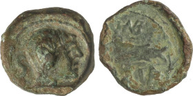 Celtiberian Coins
Semis. 50 a.C. CUNBARIA (LAS CABEZAS DE SAN JUAN, Sevilla). Anv.: Cabeza masculina a derecha, detrás S. Rev.: Atún a izquierda enci...