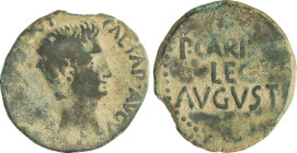 Celtiberian Coins
As. 27 a.C.-14 d.C. ÉPOCA DE AUGUSTO. EMERITA AUGUSTA (MÉRIDA). Anv.: CAESAR AVGVS. TRIB. POTEST. Cabeza a derecha. Rev.: P. CARIS(...