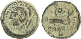 Celtiberian Coins
Cuadrante. 100-20 a.C. GADES (CÁDIZ). Anv.: Cabeza de Hércules con piel de león a izquierda, detrás clava. Rev.: Delfín a izquierda...