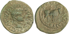 Celtiberian Coins
As. 14-37 d.C. ÉPOCA DE TIBERIO. GRACURRIS (ALFARO, La Rioja). Anv.: TI. CAESAR DIVI. AVG. F. AVGVSTVS. Cabeza laureada de Tiberio ...