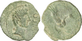 Celtiberian Coins
As. 30 a.C. IRIPPO (Zona Sur de Sevilla). Anv.: Cabeza masculina a derecha, delante IRIPPO. Rev.: Deidad femenina sentada a izquier...