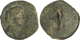 Celtiberian Coins
As. 30 a.C. IRIPPO (Zona Sur de Sevilla). Anv.: Cabeza masculina a derecha, delante IRIPPO. Rev.: Deidad femenina sentada a izquier...