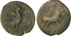 Celtiberian Coins
Semis. 220-20 a.C. OBULCO (PORCUNA, Jaén). Anv.: Águila a derecha. Rev.: Toro a derecha, encima OBVLCO. 6,29 grs. AE. Pátina oscura...