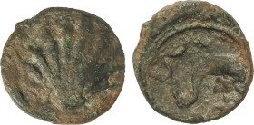Celtiberian Coins
Sextante. 170-20 a.C. ARSE (SAGUNTO, Valencia). Anv.: Concha. Rev.: Delfín a derecha, encima creciente, debajo estrella y letra ibé...