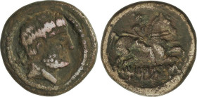 Celtiberian Coins
As. 120-20 a.C. TITIACOS (TRICIO, La Rioja). Anv.: Cabeza barbada a derecha, detrás signo ibérico Ti. Rev.: Jinete con lanza a dere...