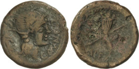 Celtiberian Coins
As. 150-50 a.C. VALENTIA (VALENCIA). Anv.: Cabeza galeada de Roma a derecha, alrededor C. MVNI. Q. y (C. LVCIEN). Rev.: Cornucopia ...