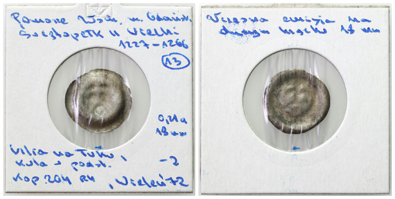 Collection of bracteates from Polish and neighboring lands
POLSKA / POLAND / PO...