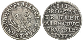 Related to Poland, Silesia, Pomerania, Prussia 
POLSKA / POLAND / POLEN / SCHLESIEN / POMMERN / Preußen / COURLAND / OELS

Duchy of Prussia. Albrec...