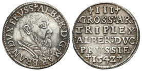 Related to Poland, Silesia, Pomerania, Prussia 
POLSKA / POLAND / POLEN / SCHLESIEN / POMMERN / Preußen / COURLAND / OELS

Duchy of Prussia. Albrec...