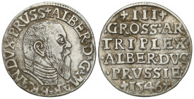 Related to Poland, Silesia, Pomerania, Prussia 
POLSKA / POLAND / POLEN / SCHLESIEN / POMMERN / Preußen / COURLAND / OELS

Duchy of Prussia. Albrec...