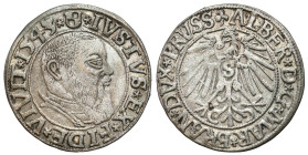 Related to Poland, Silesia, Pomerania, Prussia 
POLSKA / POLAND / POLEN / SCHLESIEN / POMMERN / Preußen / COURLAND / OELS

Duchy of Prussia. Albrec...