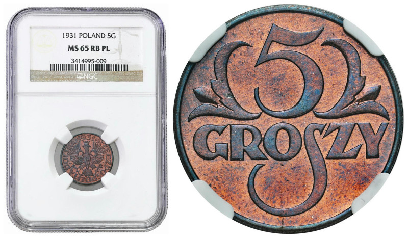 Second Polish Republic - A unique collection of penny coins, part 2
POLSKA / PO...
